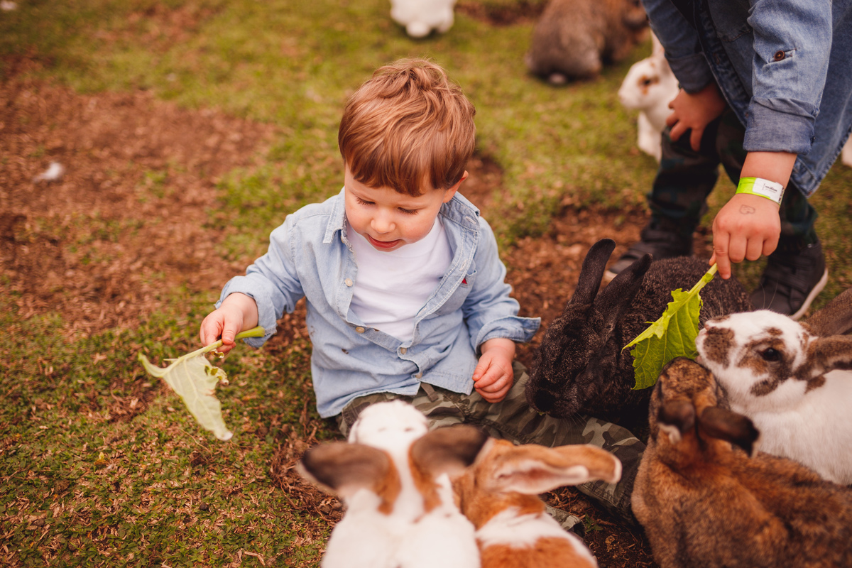 fotografa curitiba ensaio fazendinha