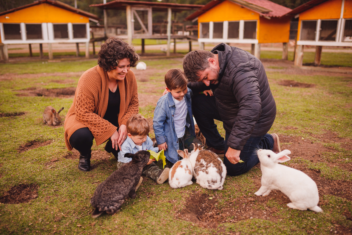 fotografa curitiba ensaio fazendinha