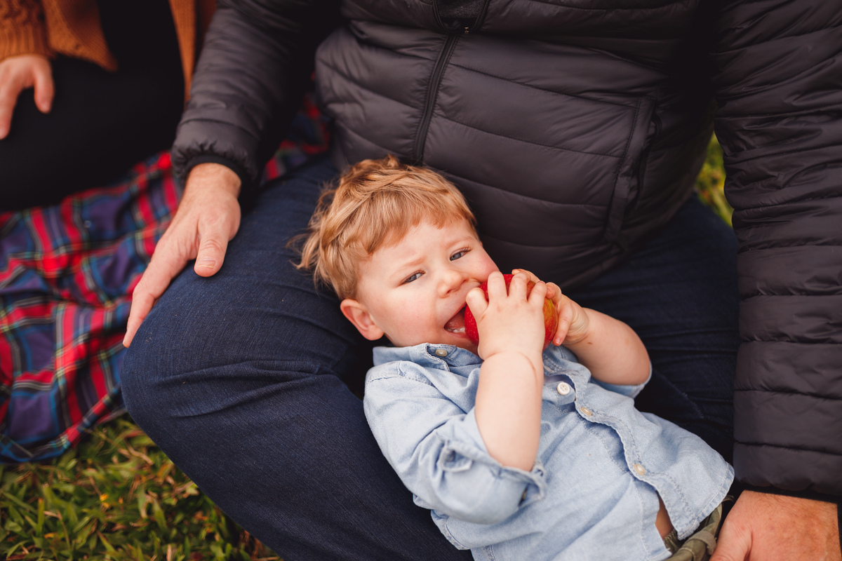 fotografa curitiba ensaio fazendinha