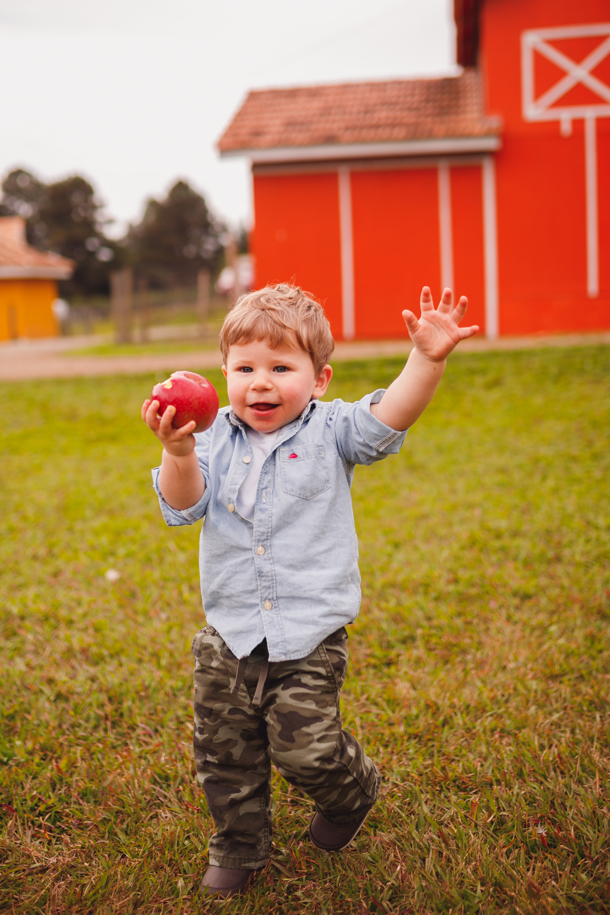 fotografa curitiba ensaio fazendinha