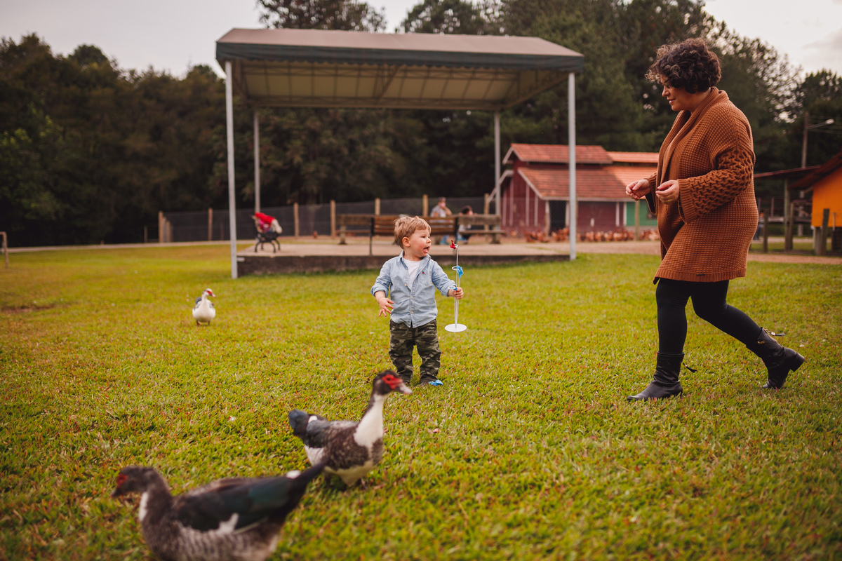 fotografa curitiba ensaio fazendinha