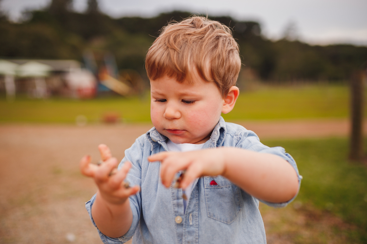 fotografa curitiba ensaio fazendinha