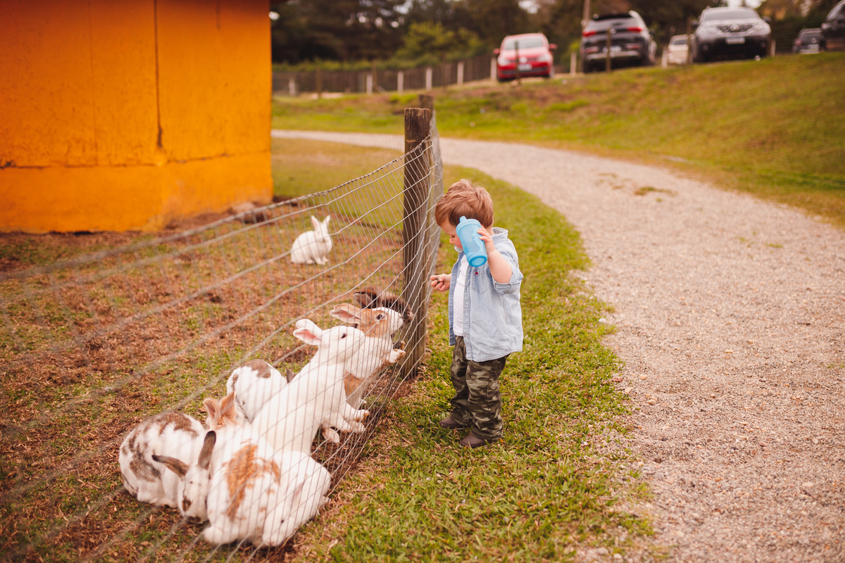 fotografa curitiba ensaio fazendinha 