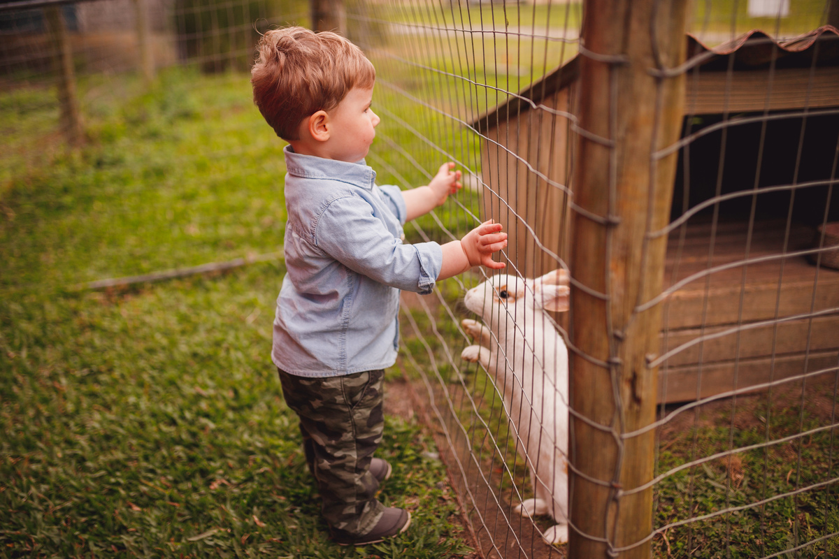 fotografa curitiba ensaio fazendinha