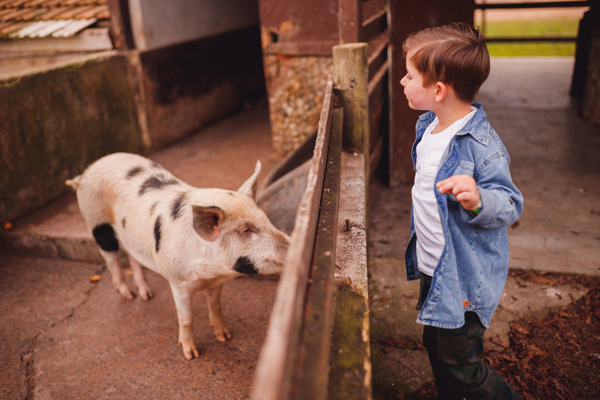 fotografa curitiba ensaio fazendinha