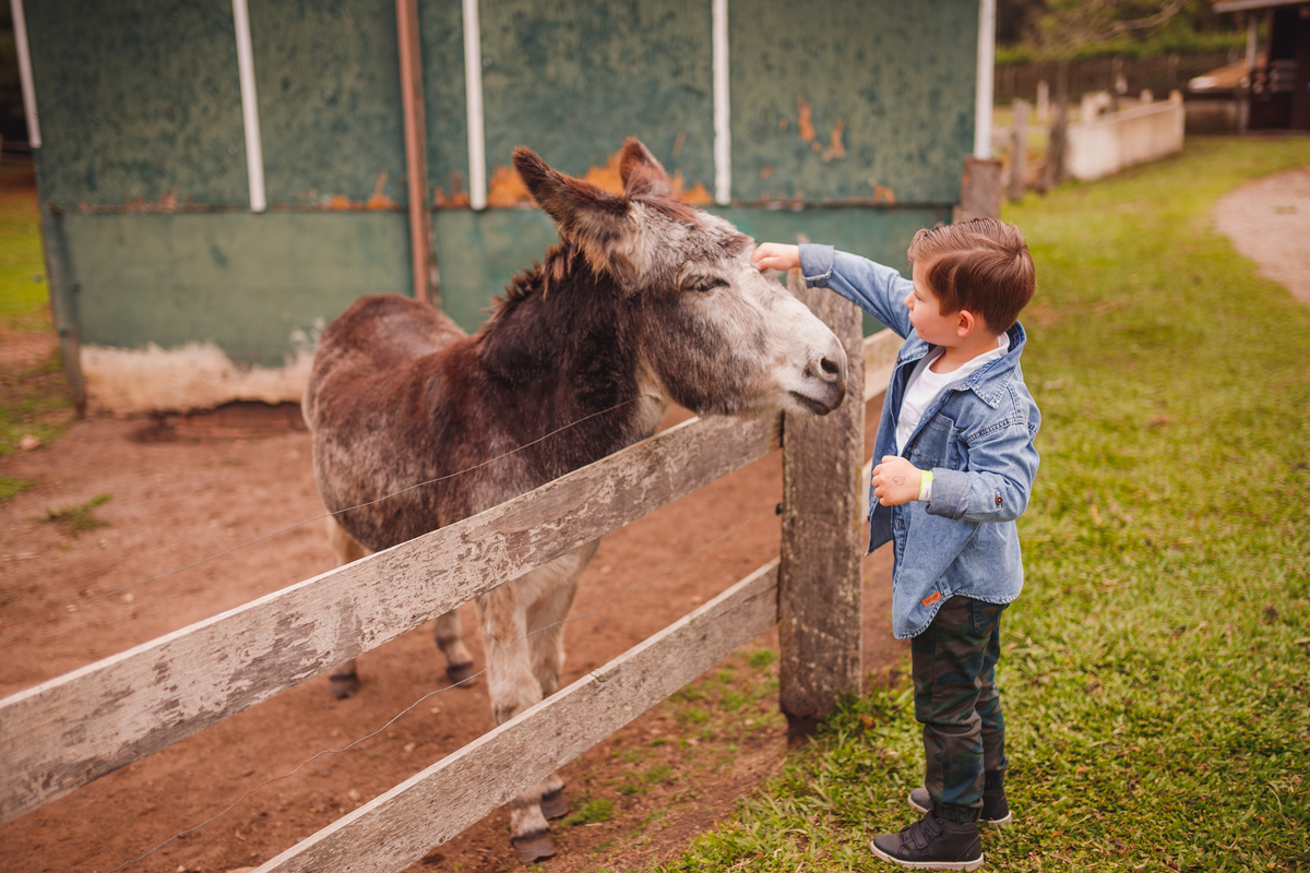 fotografa curitiba ensaio fazendinha