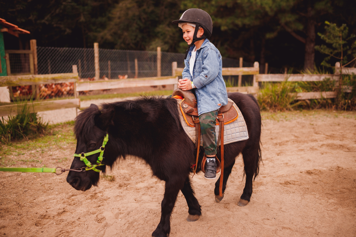 fotografa curitiba ensaio fazendinha