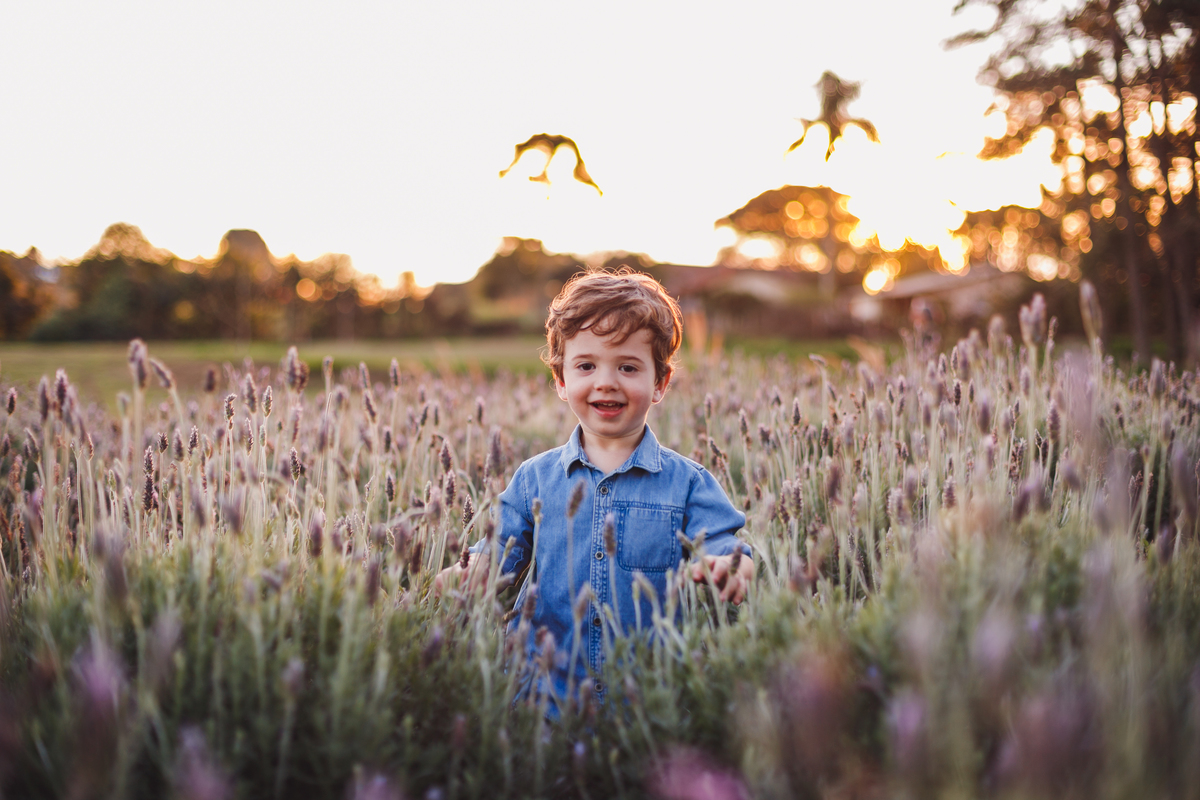 fotografa familia curitiba - ensaio Lavandario externo menino bebe