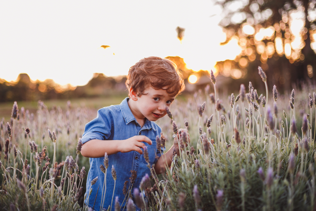 fotografa familia curitiba - ensaio Lavandario externo menino bebe