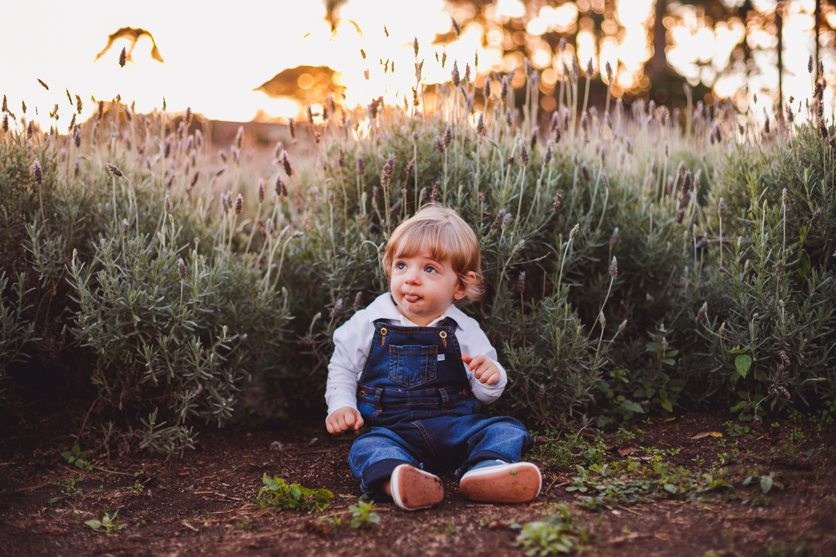 fotografa familia curitiba - ensaio Lavandario externo menino bebe