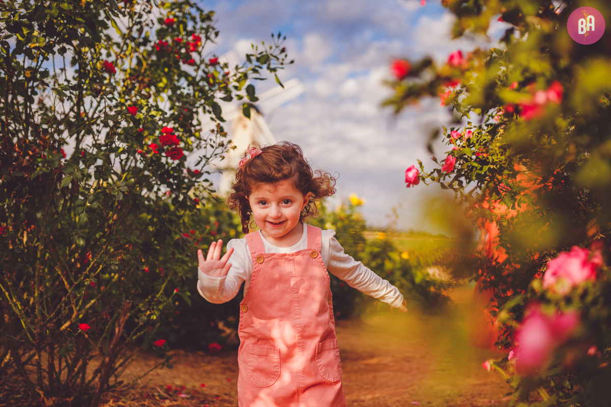 fotografa familia curitiba - Ensaio no girassol Holambra bebe menina flores por do sol