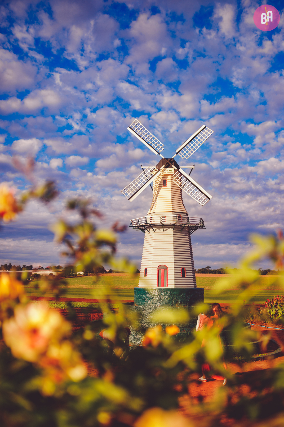 fotografa familia curitiba - Ensaio no girassol Holambra bebe menina flores por do sol