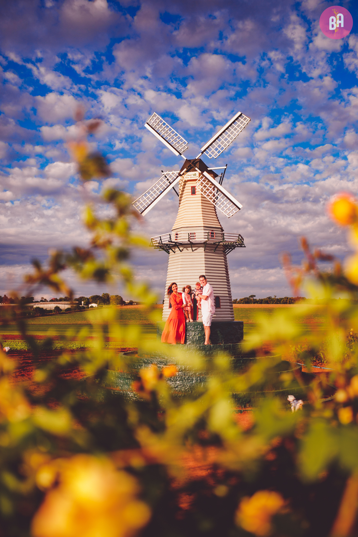 fotografa familia curitiba - Ensaio no girassol Holambra bebe menina flores por do sol