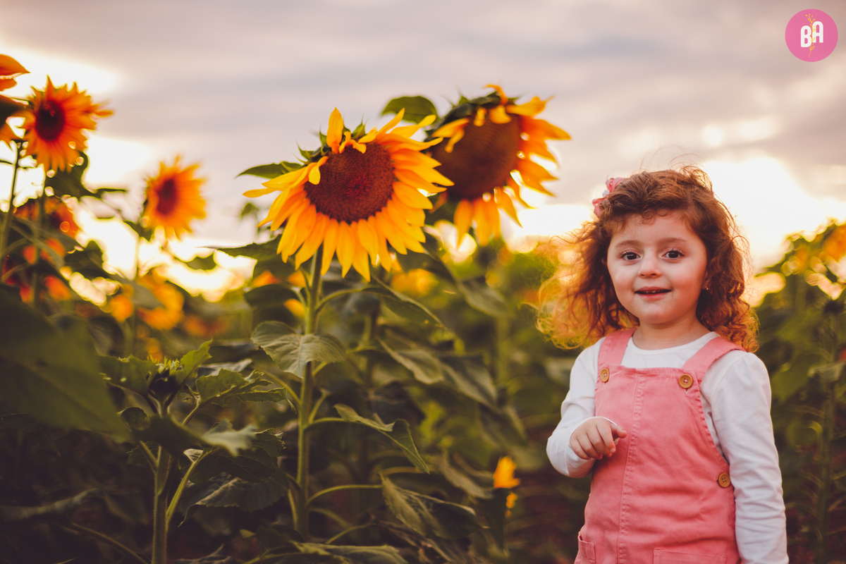 fotografa familia curitiba - Ensaio no girassol Holambra bebe menina flores por do sol