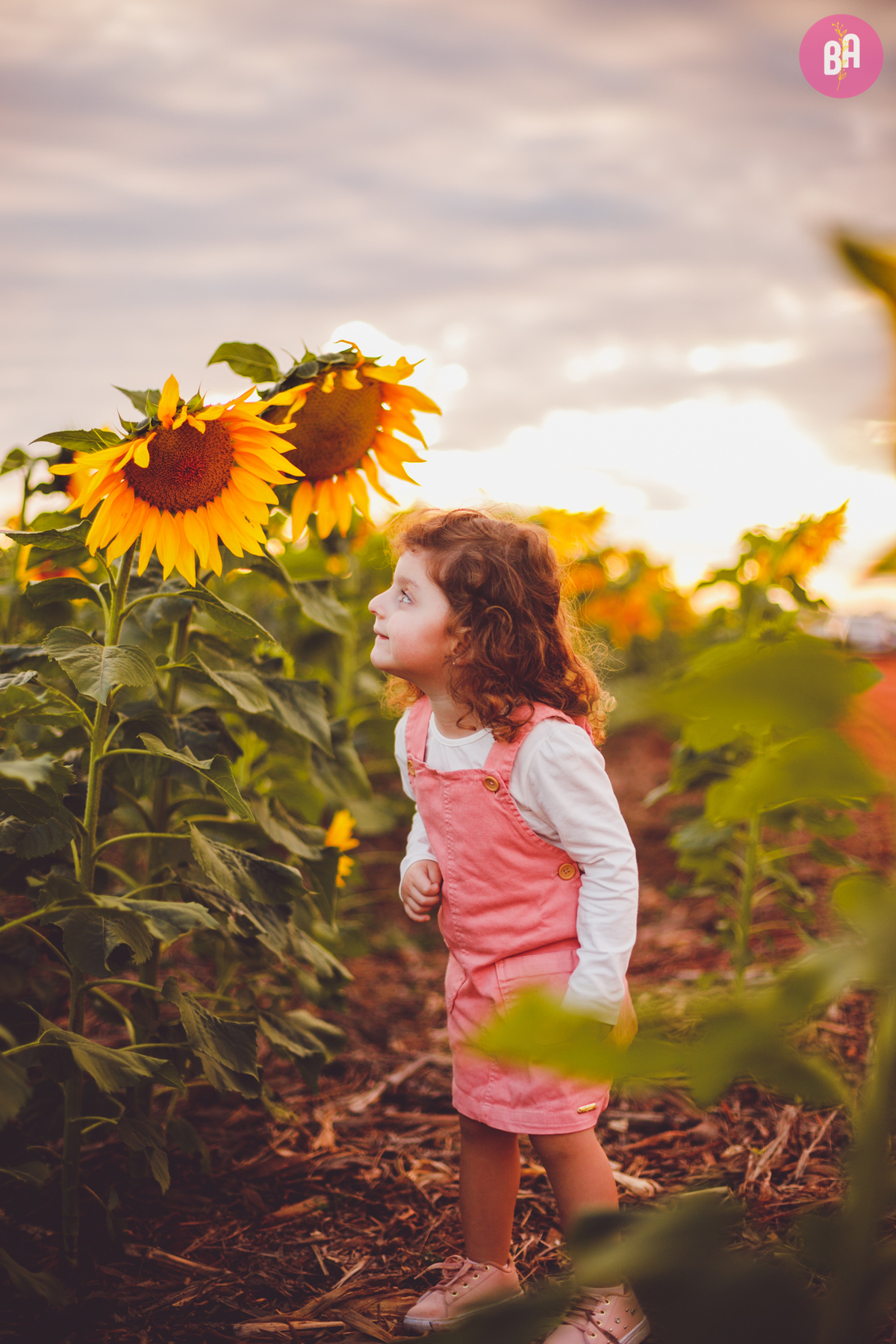 fotografa familia curitiba - Ensaio no girassol Holambra bebe menina flores por do sol