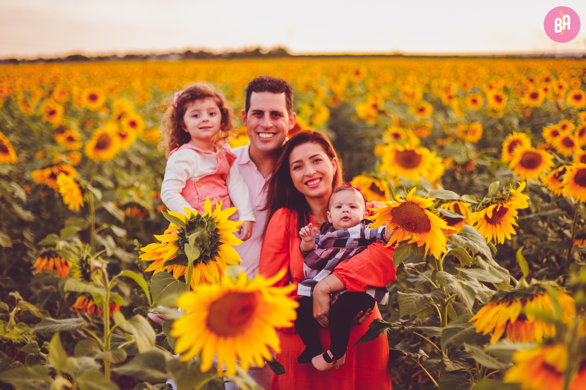 fotografa familia curitiba - Ensaio no girassol Holambra bebe menina flores por do sol