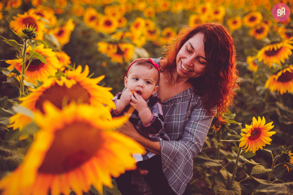 fotografa familia curitiba - Ensaio no girassol Holambra bebe menina flores por do sol