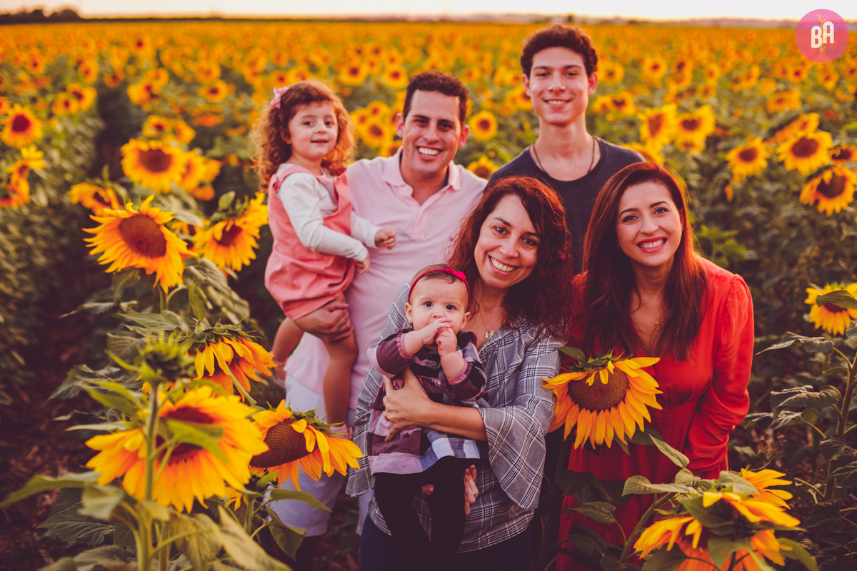 fotografa familia curitiba - Ensaio no girassol Holambra bebe menina flores por do sol