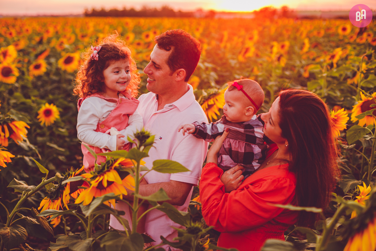 fotografa familia curitiba - Ensaio no girassol Holambra bebe menina flores por do sol