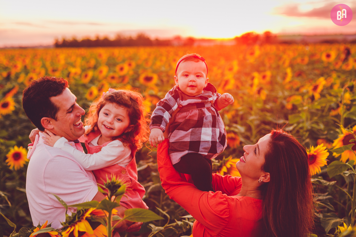 fotografa familia curitiba - Ensaio no girassol Holambra bebe menina flores por do sol