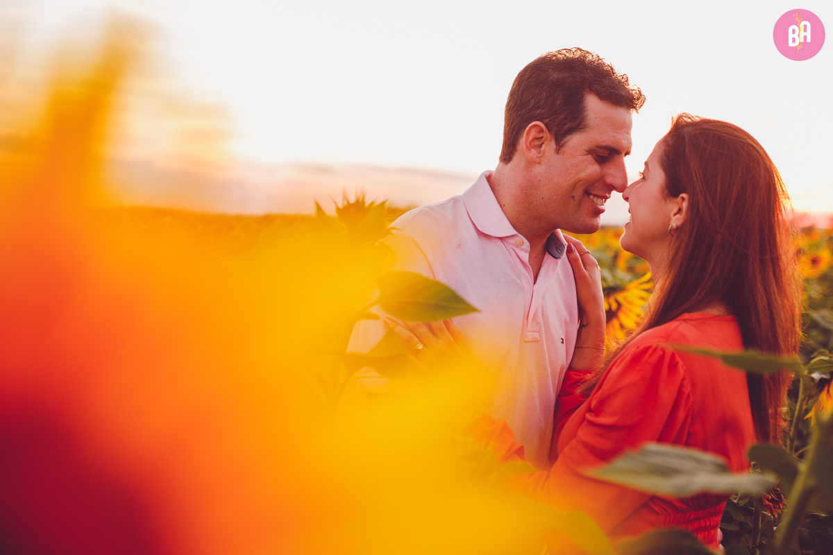 fotografa familia curitiba - Ensaio no girassol Holambra bebe menina flores por do sol