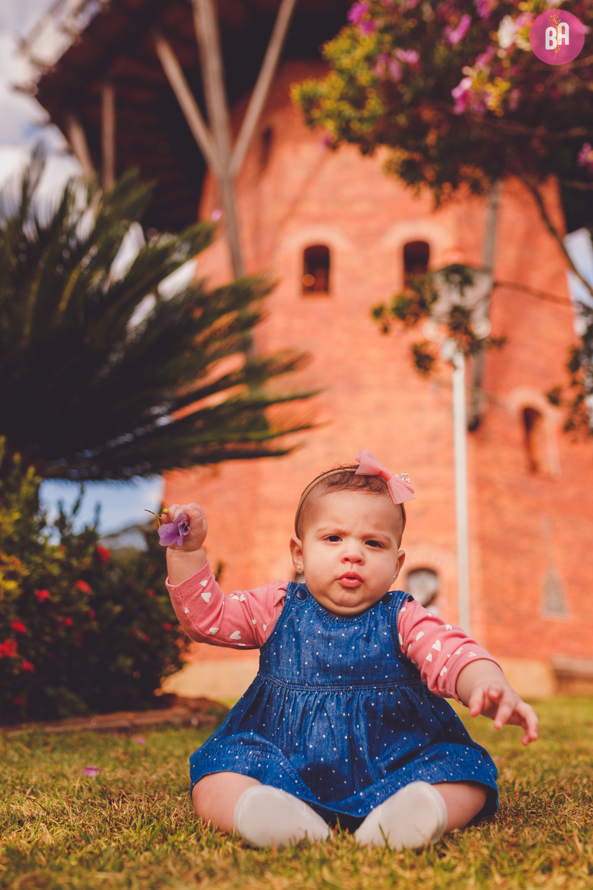 fotografa familia curitiba - Ensaio no girassol Holambra bebe menina flores por do sol