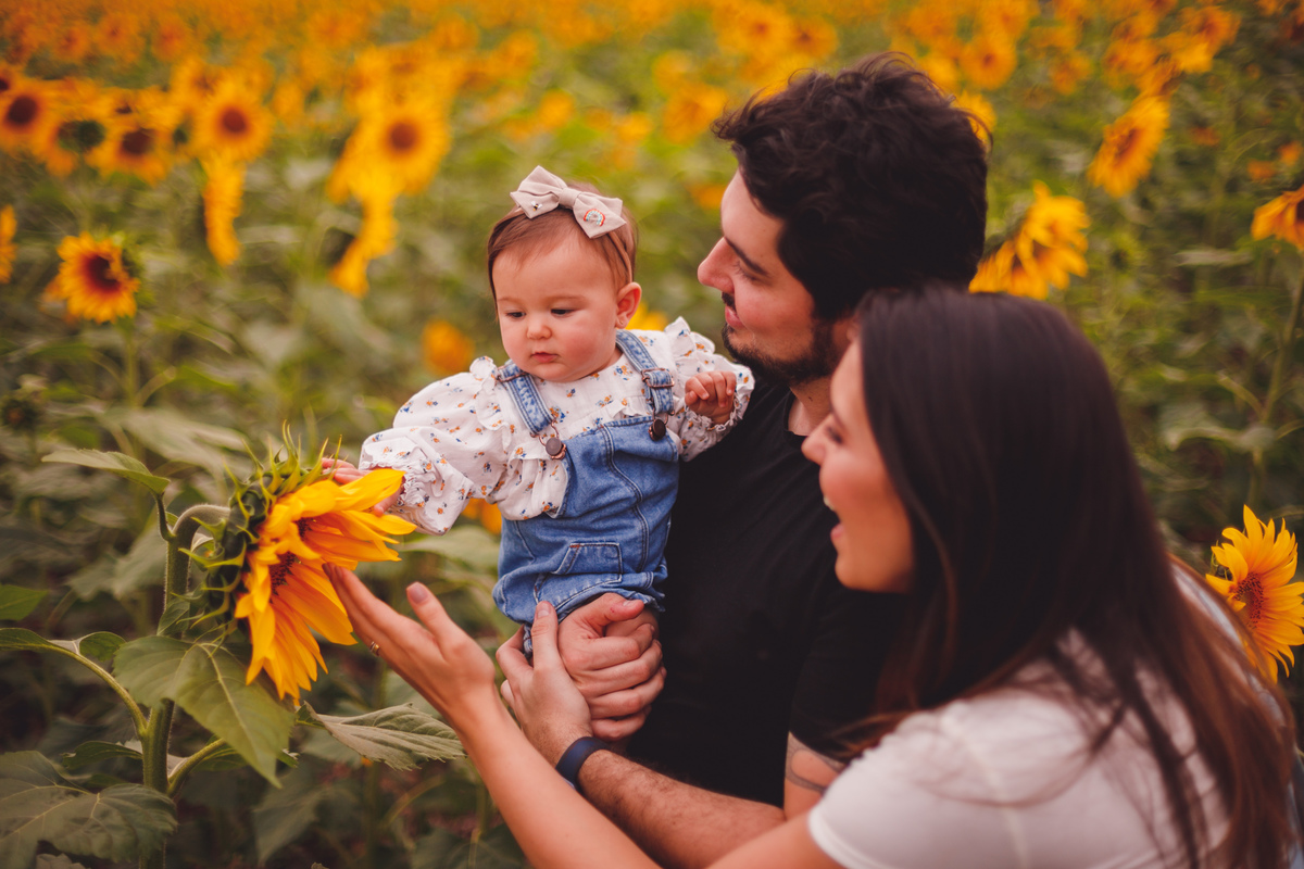 fotografa familia Curitiba ensaio externo Holambra girassol