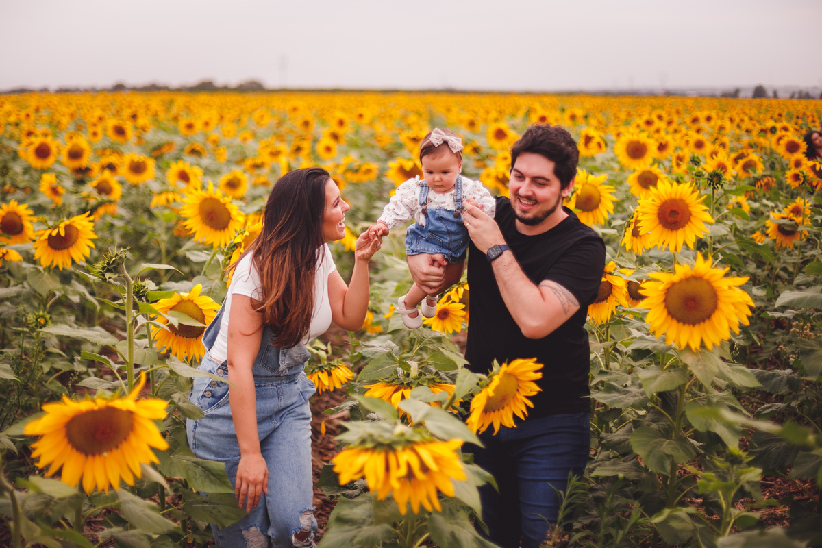 fotografa familia Curitiba ensaio externo Holambra girassol