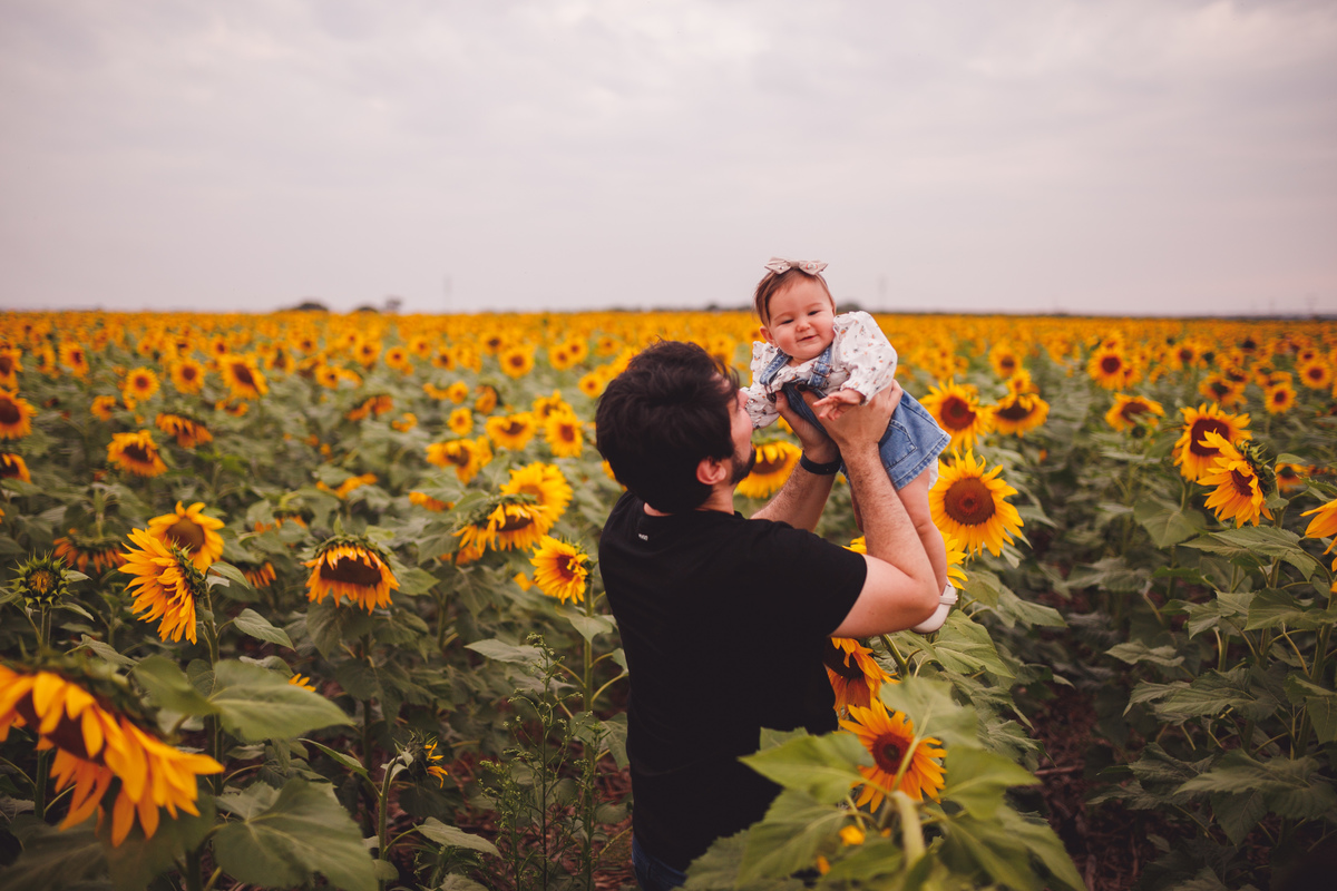 fotografa familia Curitiba ensaio externo Holambra girassol