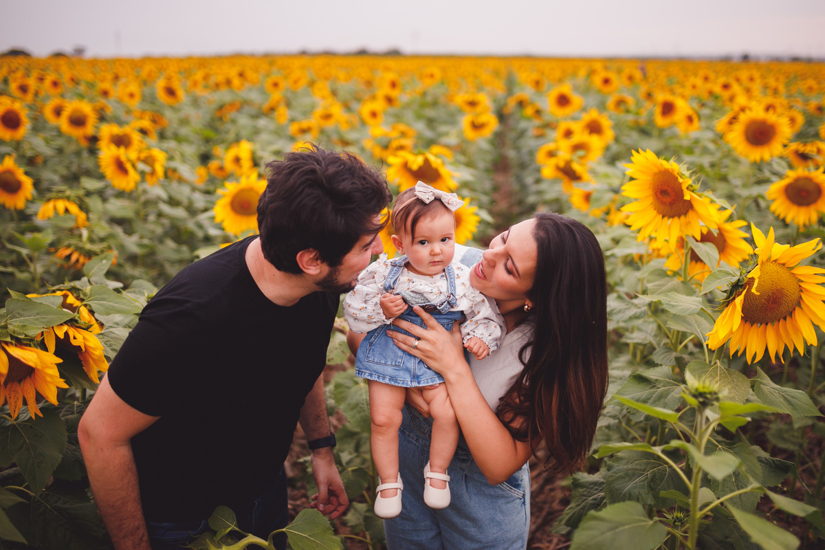 fotografa familia Curitiba ensaio externo Holambra girassol