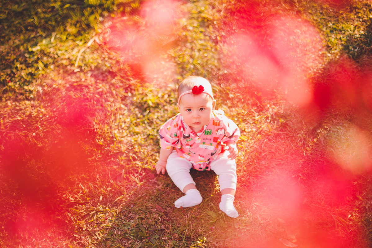fotografa familia curitiba - cerejeira inverno bebe