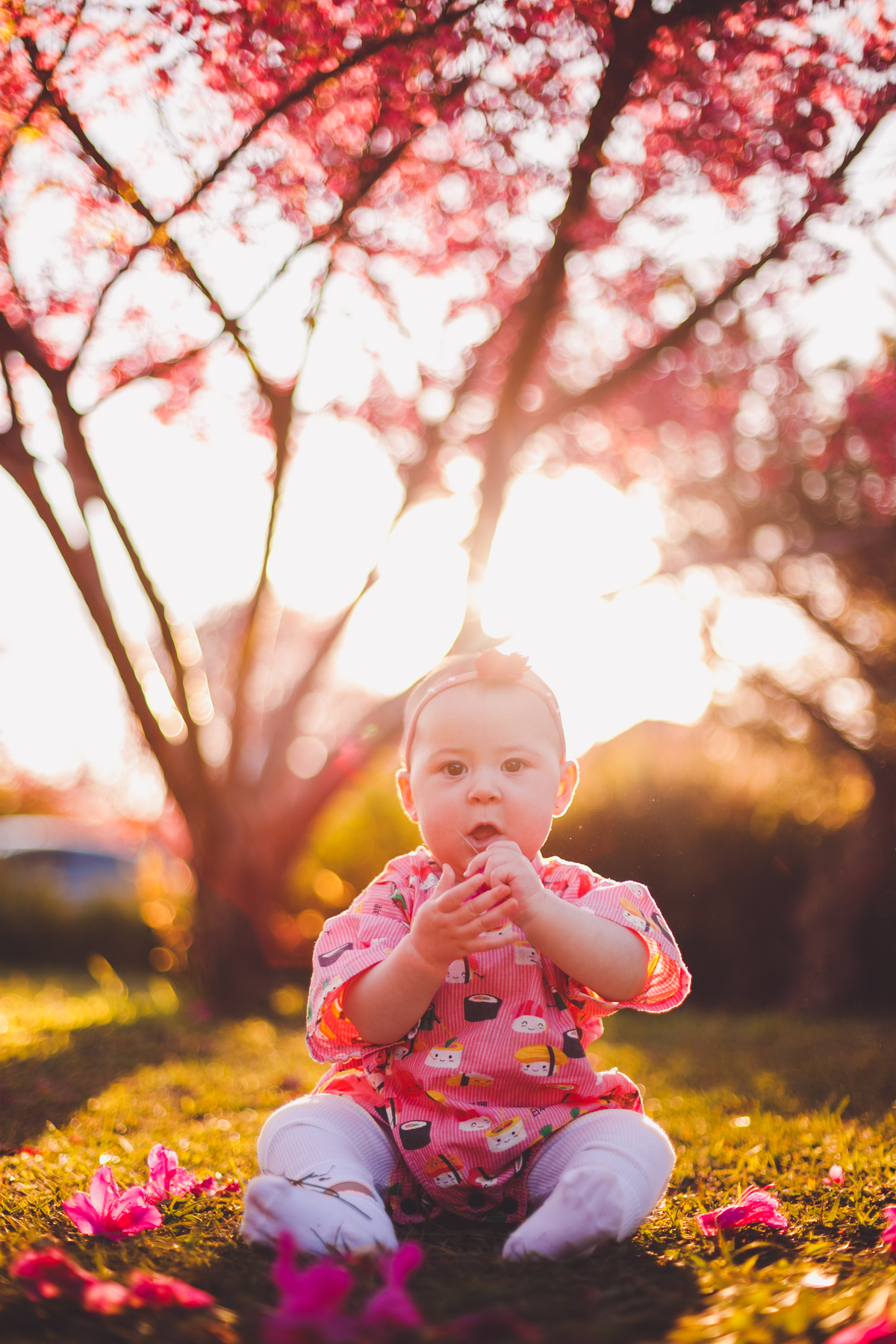 fotografa familia curitiba - cerejeira inverno bebe