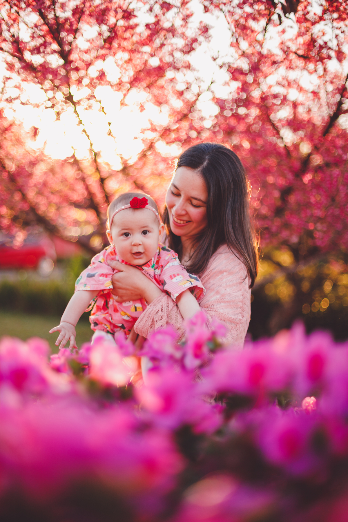 fotografa familia curitiba - cerejeira inverno bebe