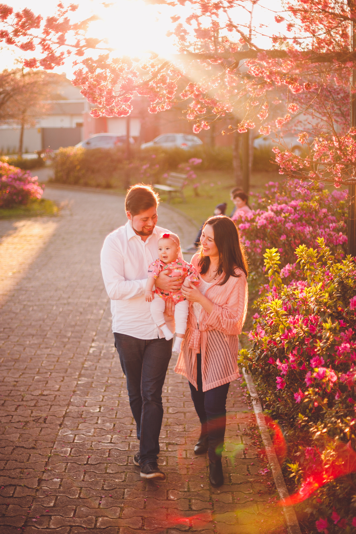 fotografa familia curitiba - cerejeira inverno bebe