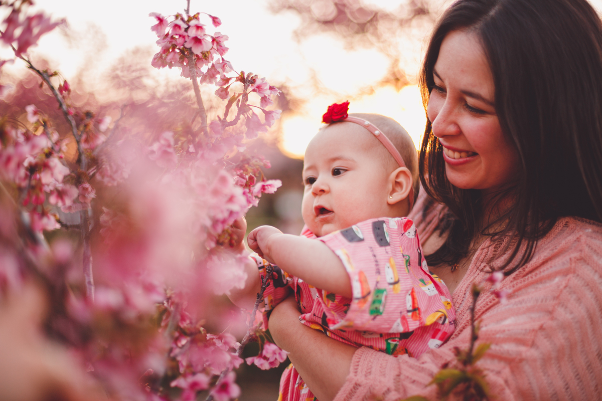 fotografa familia curitiba - cerejeira inverno bebe