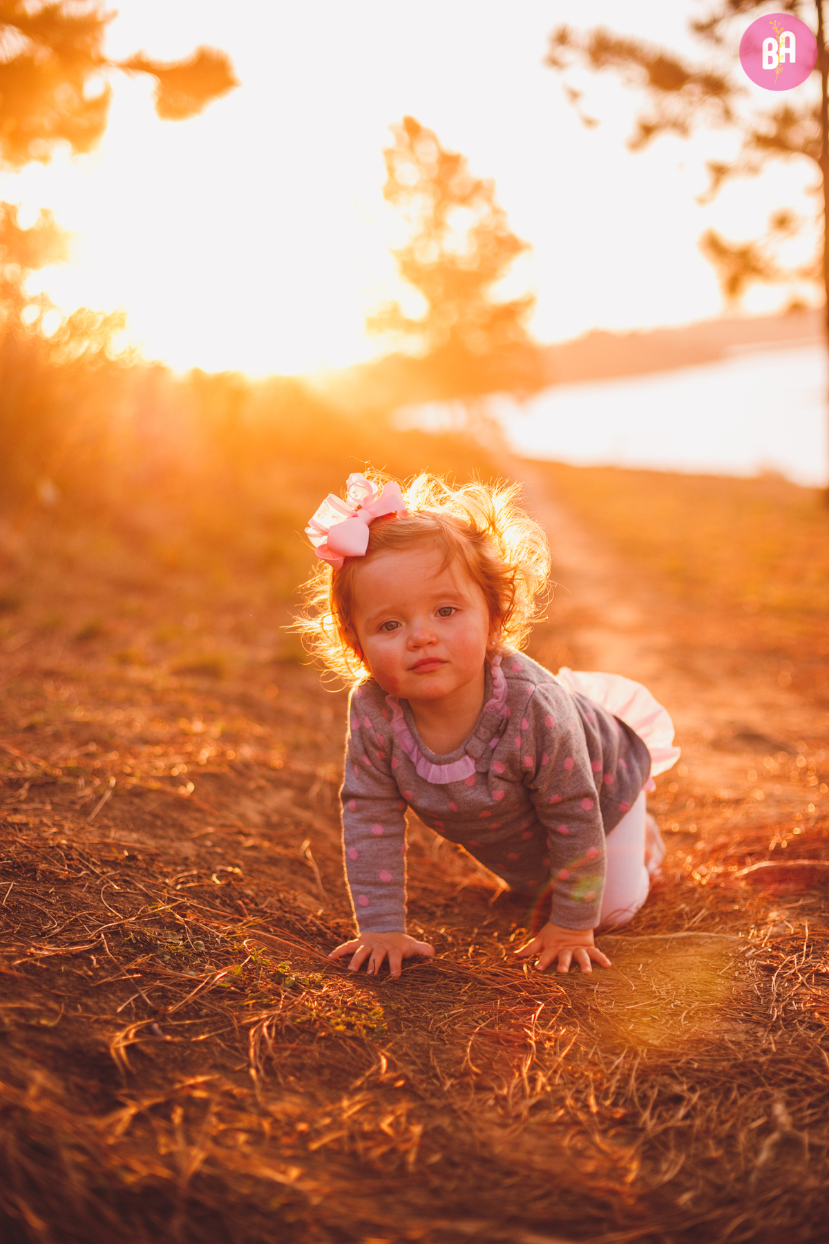 fotografa familia curitiba - ensaio acampamento externo 
