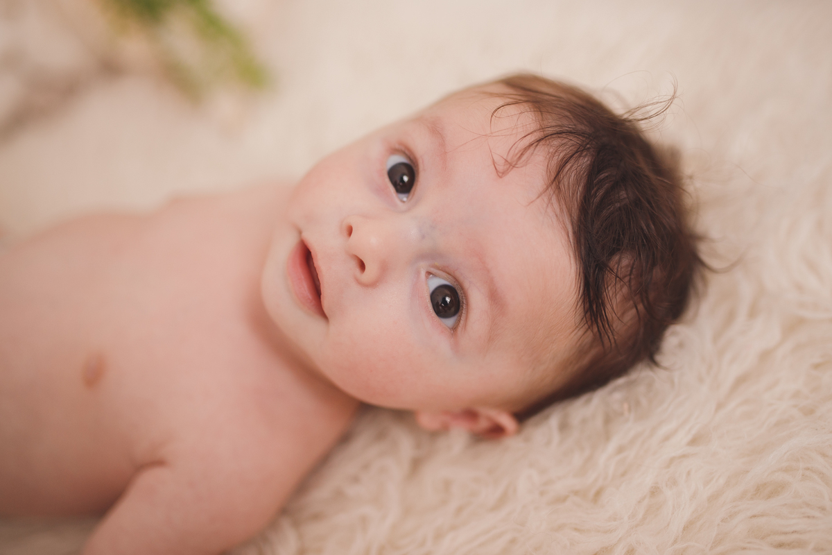 fotografa familia Curitiba ensaio estudio 3 meses 
