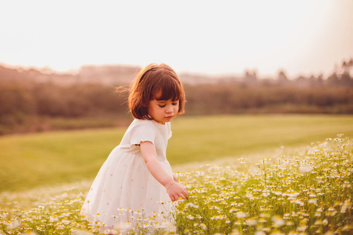 fotografa familia curitiba - ensaio externo camomila 2 anos menina mandirituba