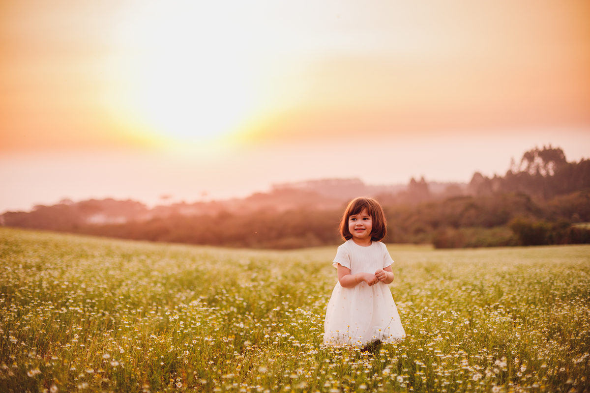 fotografa familia curitiba - ensaio externo camomila 2 anos menina mandirituba