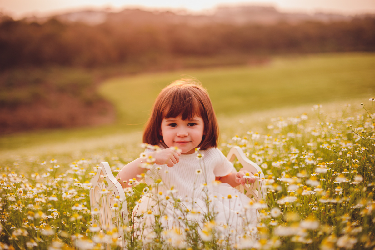 fotografa familia curitiba - ensaio externo camomila 2 anos menina mandirituba
