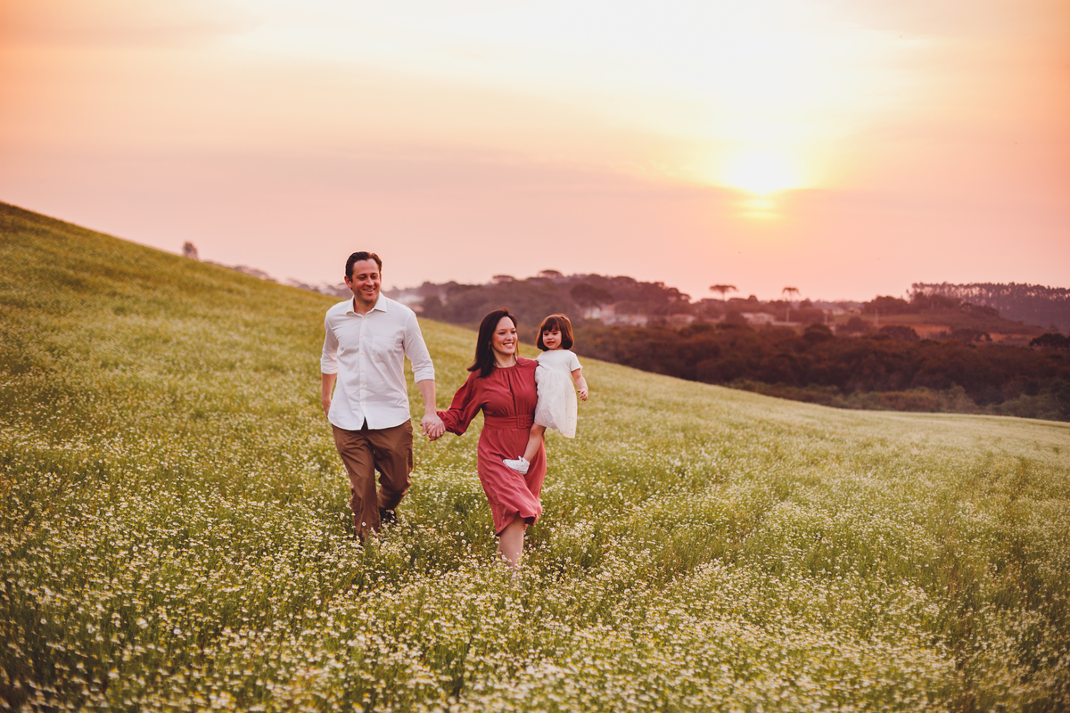 fotografa familia curitiba - ensaio externo camomila 2 anos menina mandirituba