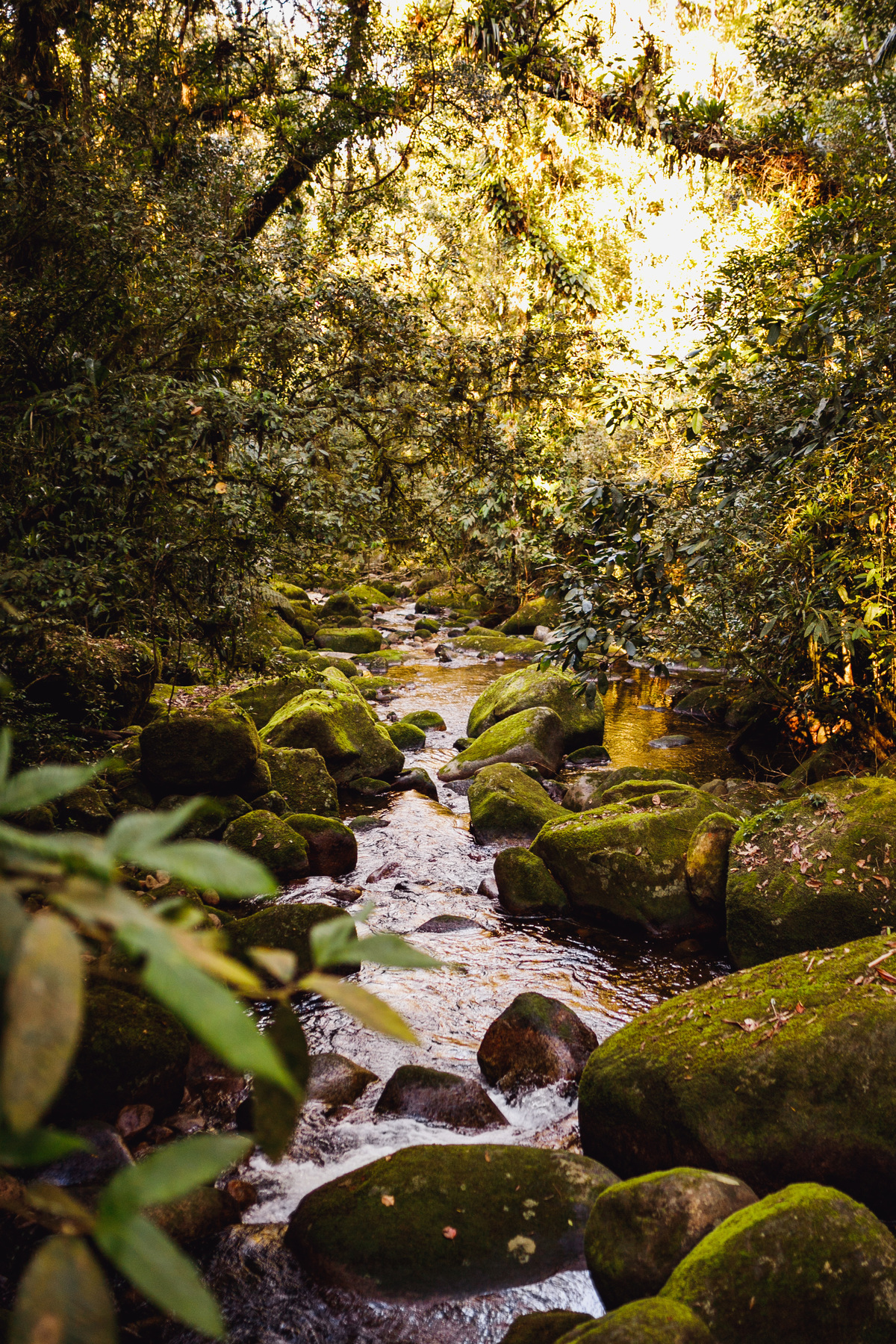 fotografa familia curitiba - ensaio externo ekoa park bebe