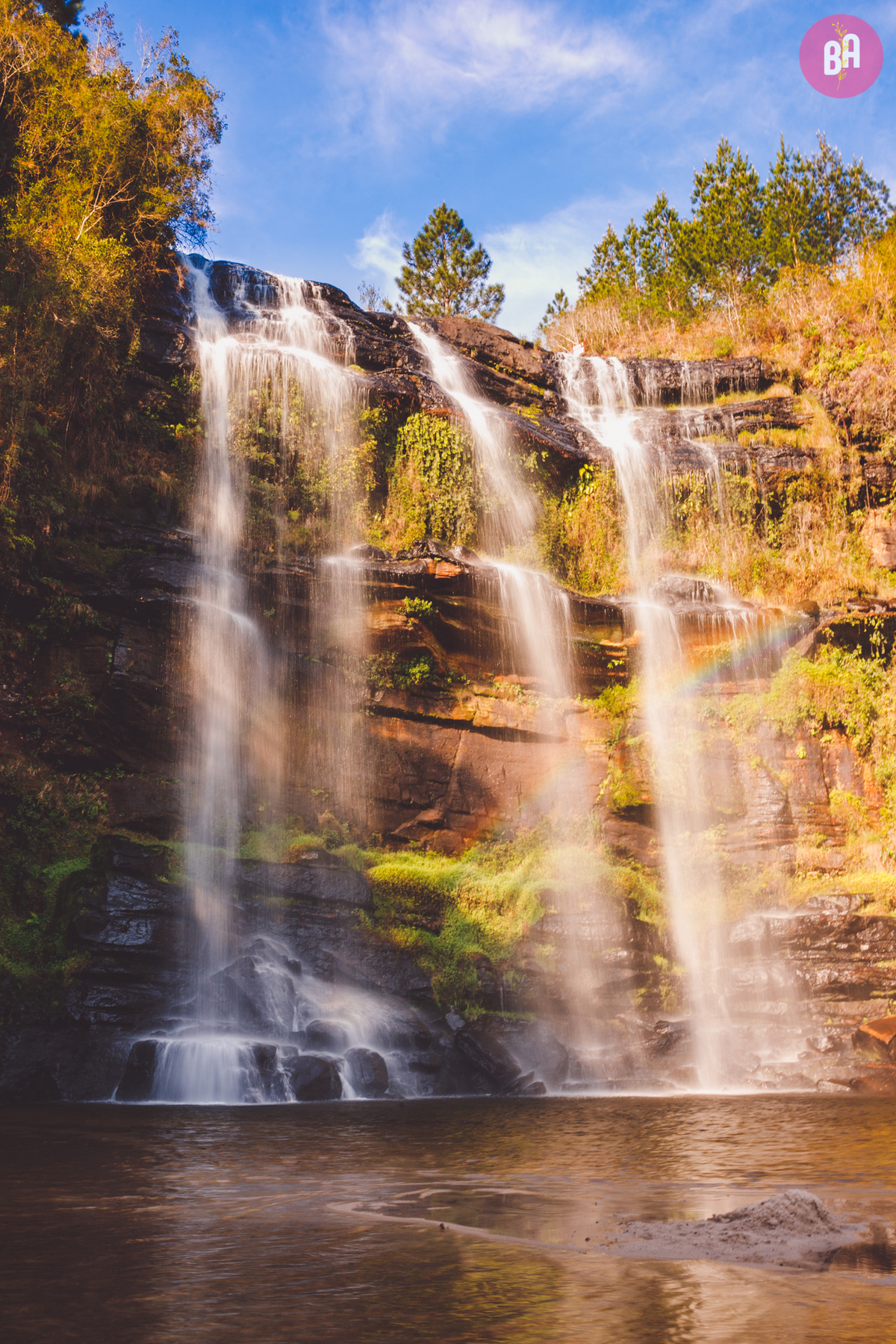 fotografa familia curitiba - gestante gravidez externo ponta grossa