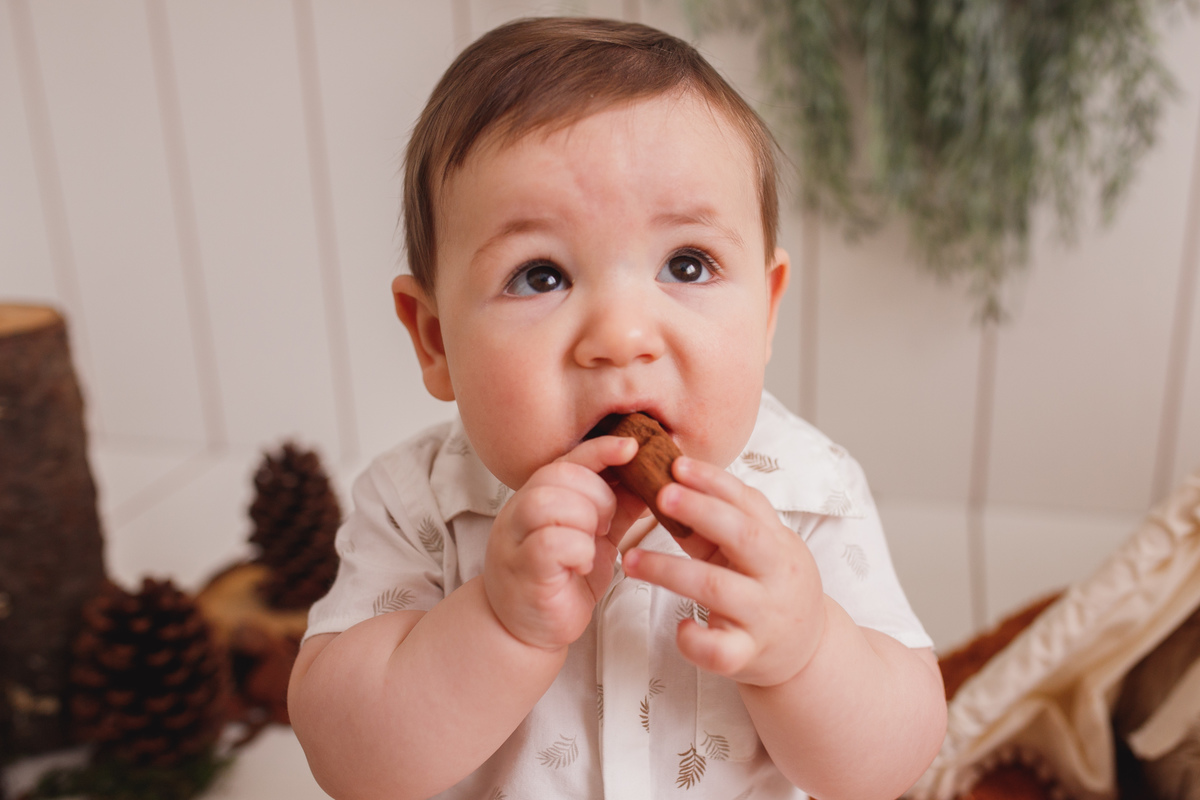 fotografa familia Curitiba estudio ensaio bebes 