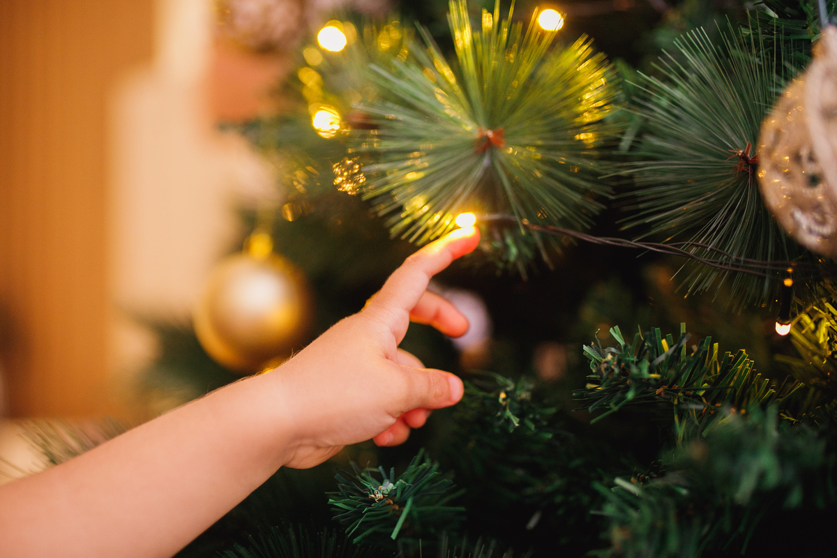 fotografa familia curitiba - lifestyle natal miguel