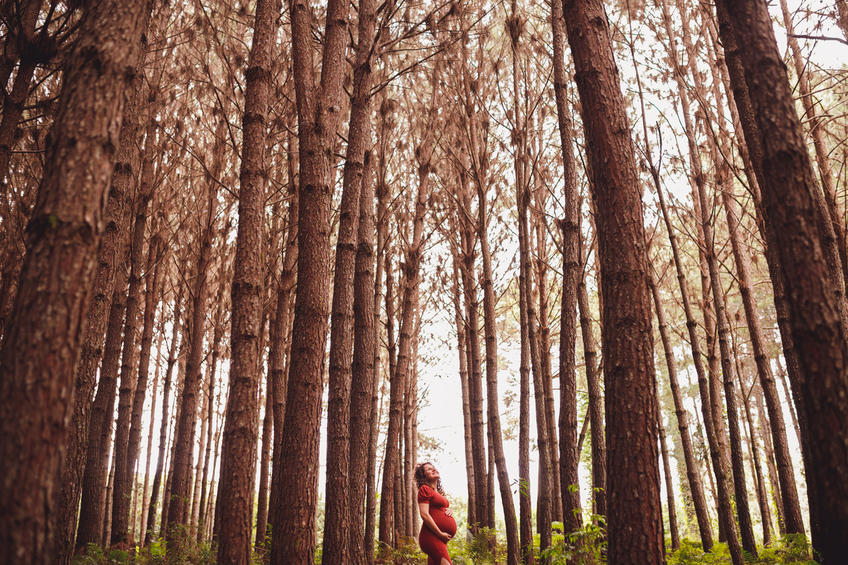 fotografa familia curitiba - gestante externo morro da palha