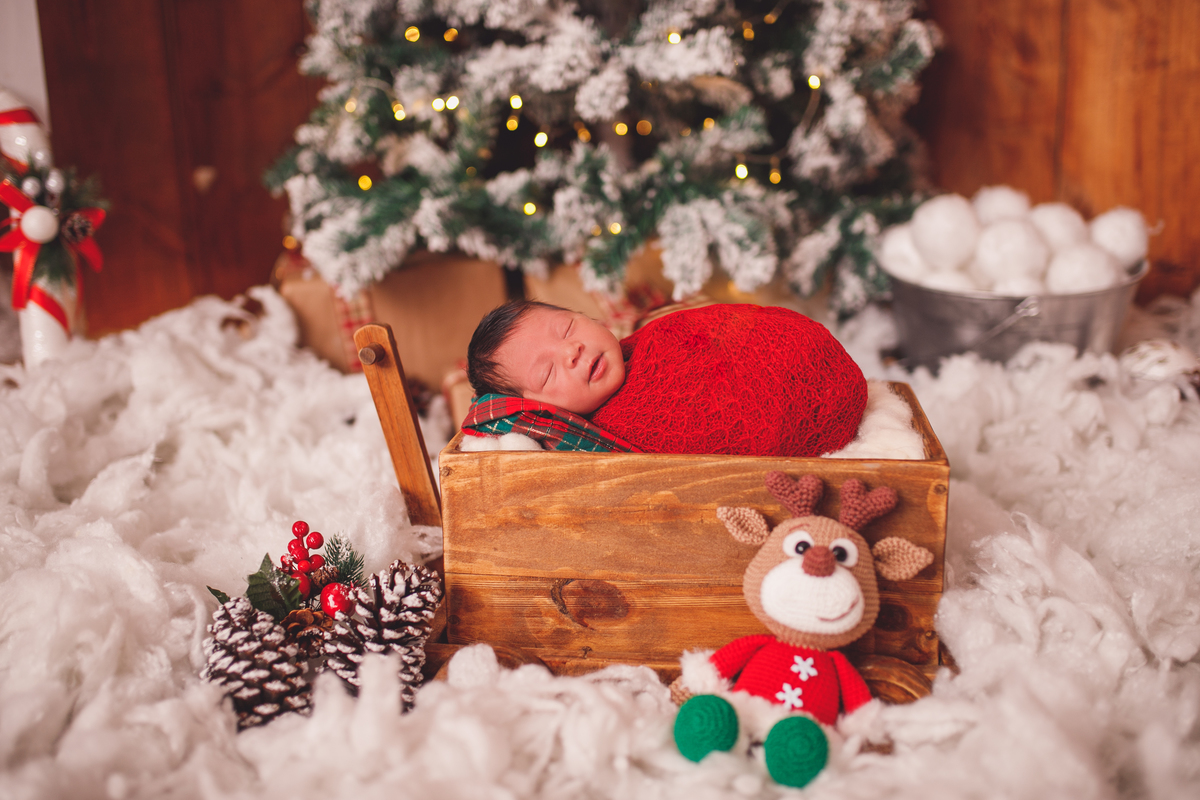 fotografa familia curitiba - newborn benjamin