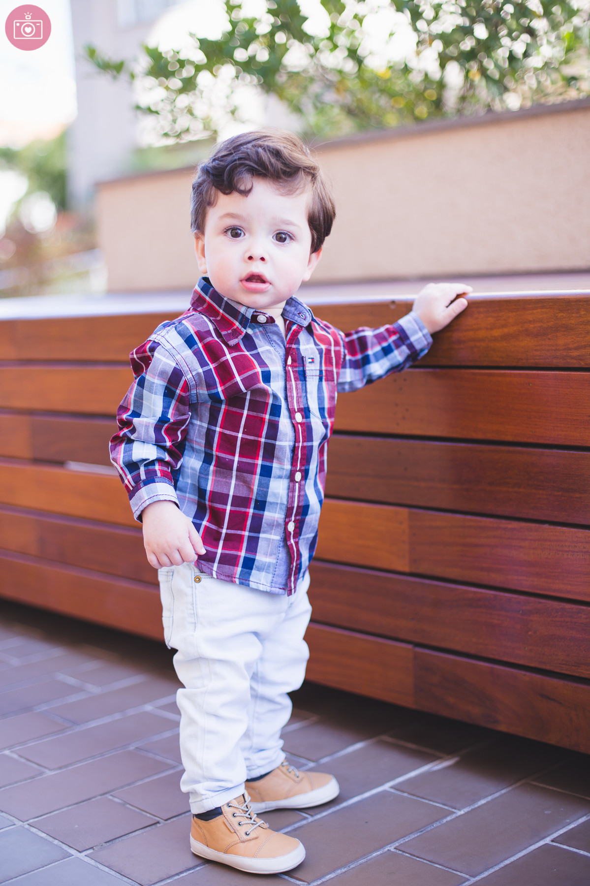 pedro Smash the Cake