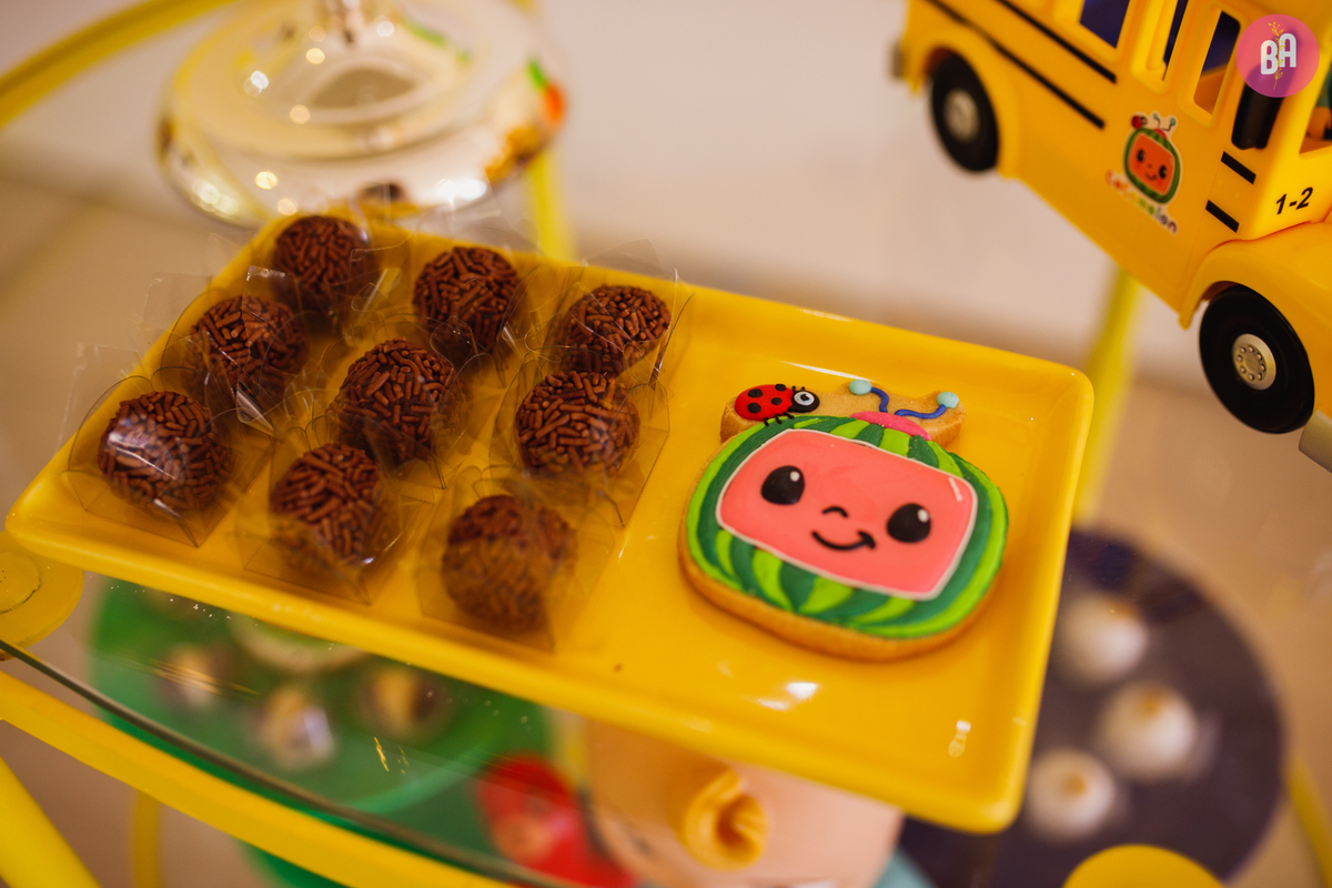 fotografa familia curitiba - aniversario externo chácara 