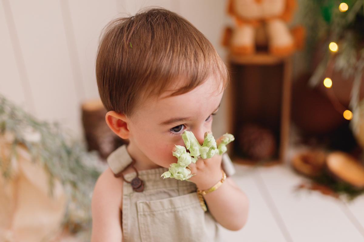 fotografa familia curitiba - smash the cake Eduardo estudio
